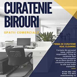 Real Cleaning - Firma de curatenie, Servicii de curatenie