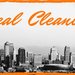 Real Cleaning - Firma de curatenie, Servicii de curatenie